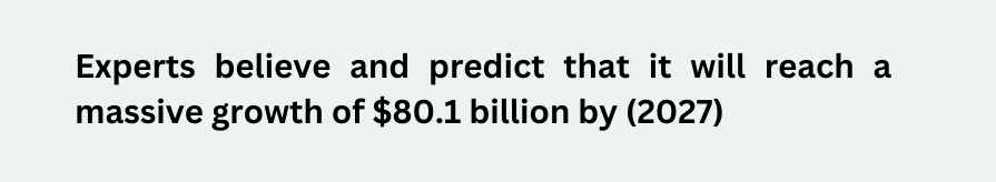 Experts believe and predict that it will reach a massive growth of $80.1 billion by 2027